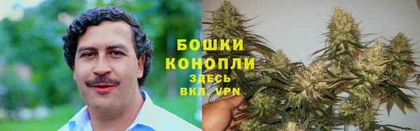 a pvp Новозыбков