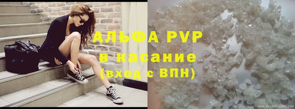 a pvp Новозыбков