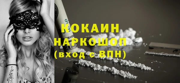 a pvp Новозыбков