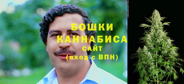круглые Пересвет